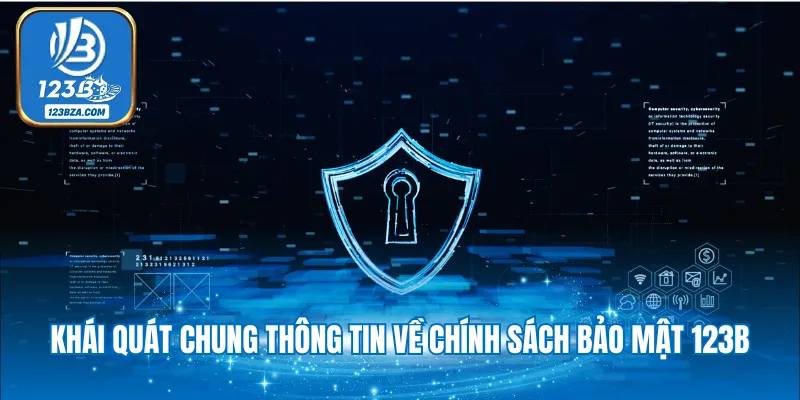 Khái quát chung thông tin về chính sách bảo mật 123B