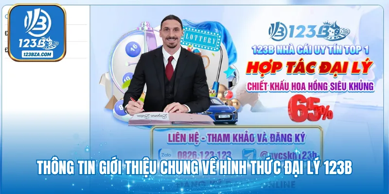 Thông tin giới thiệu chung về hình thức đại lý 123B